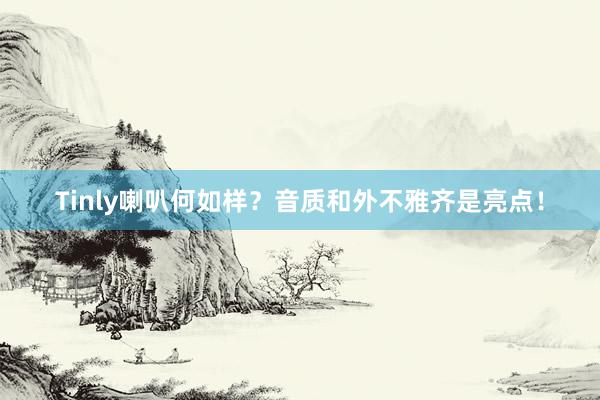 Tinly喇叭何如样？音质和外不雅齐是亮点！